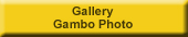 Gallery Gambo Photo